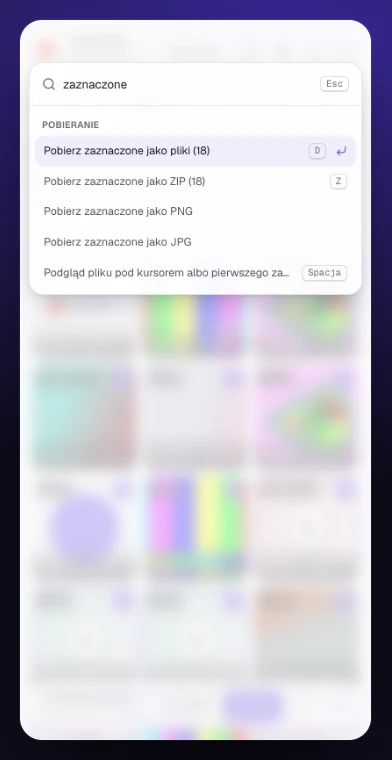 Paleta komend w jasnym motywie z poleceniami pobierania i eksportu listy adresów.